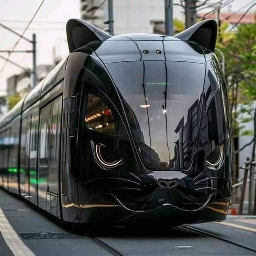 PME Chat Tram..jpg