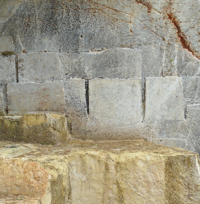 DSC09962 copie.jpg