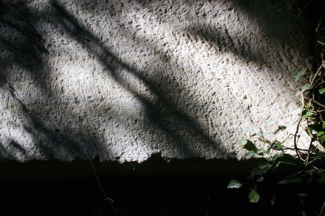17 oct 2010 112 copie.jpg
