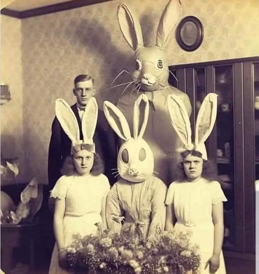 lapins.jpg