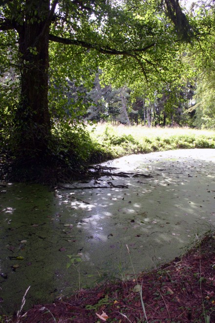 Sept 2010 008 copie.jpg