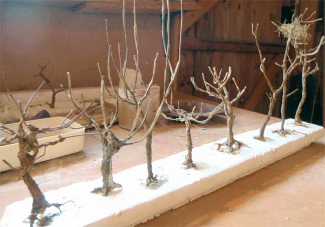 arbres1.jpg