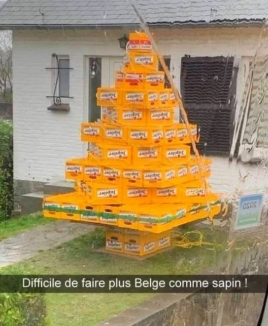 PME  Sapin belge..jpg