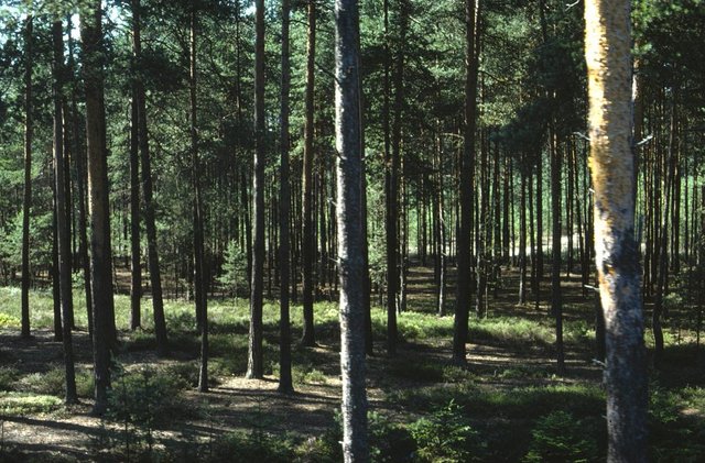 76-09-91226-gmünd - neu-nagelberg.jpg