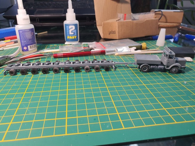 TLR-4.jpg