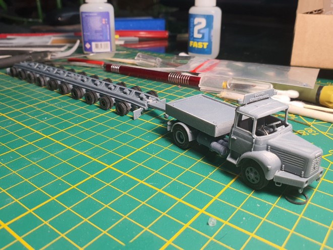 TLR-5.jpg