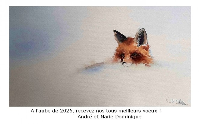 carte voeux 2025  THIEFFRY MD LAURENT A.jpg