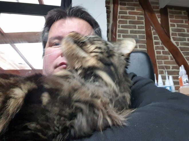 chat3.jpg
