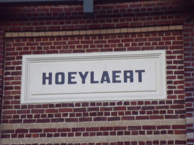 hoylaertsfevrier20094.jpg