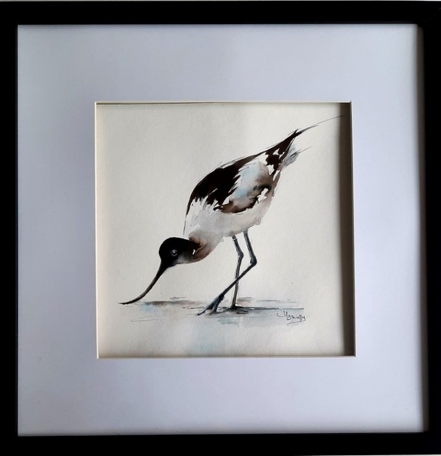 001-avocette.jpg