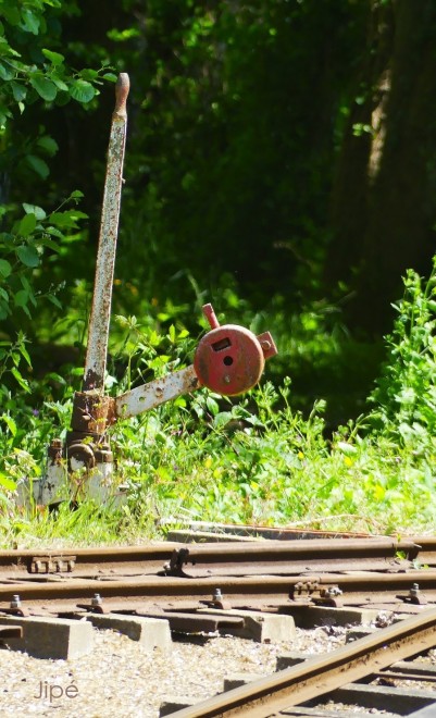 2025-05-11 Museotrain (15).JPG