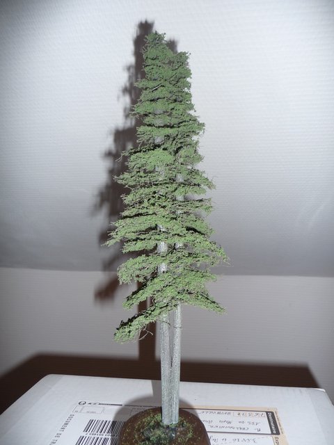 736356P1030665.jpg