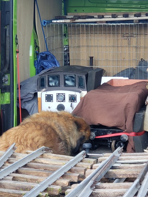 02_Contrôle_par_le_chien_en_chef.jpg