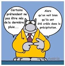 PME Chat Pluie..jpg