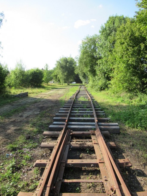 2025 07 11 PROCHE DU BOUT DU TERRAIN_009.jpg