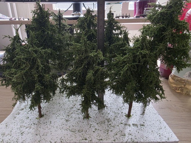 Arbre 1.jpg