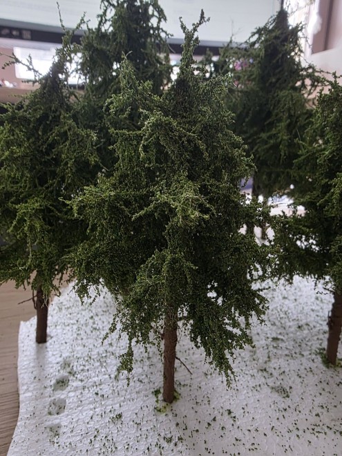 Arbre 2.jpg
