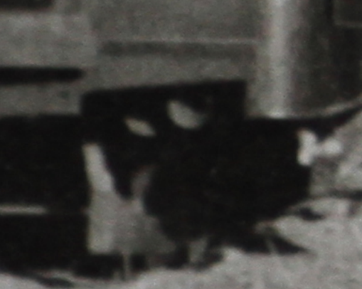 2025-08-05_142143.png