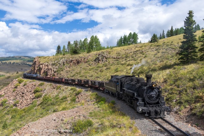 484-osier.jpg