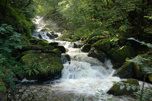 2011-09-21-0051-lynmouth.jpg