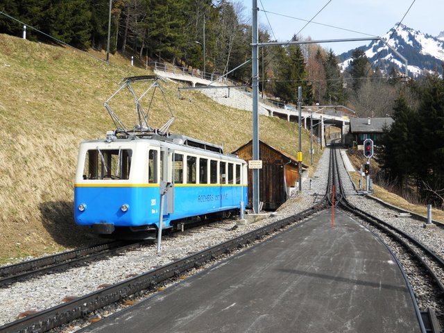 DSCN5398.JPG