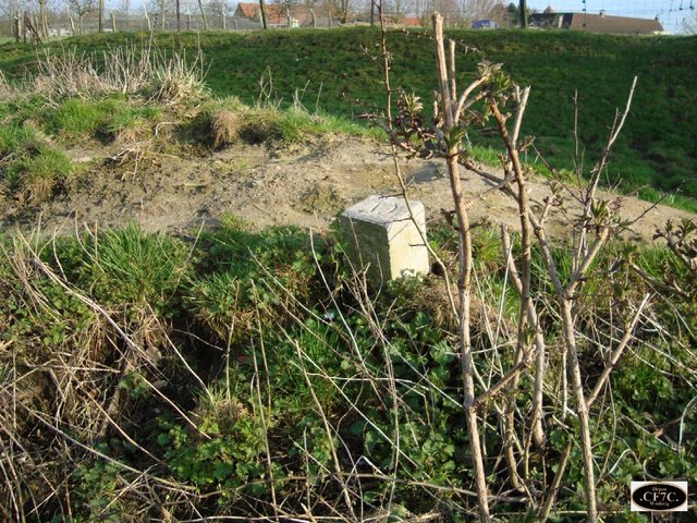 DSC01440.JPG