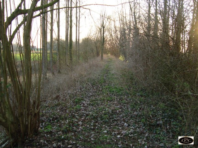 DSC01452.JPG
