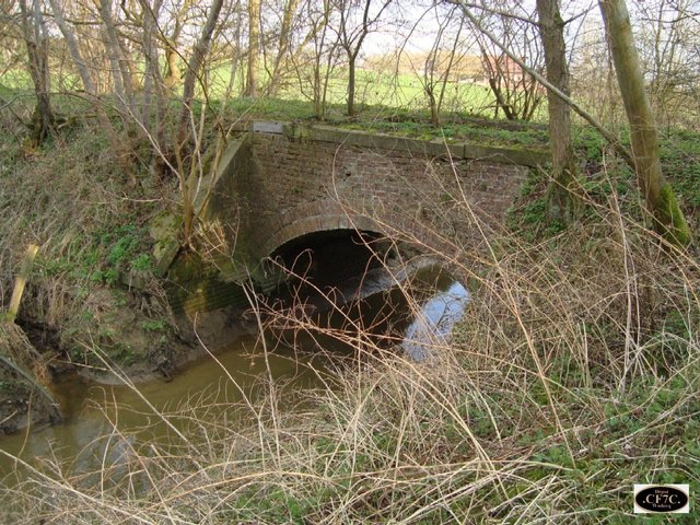 DSC01438.JPG