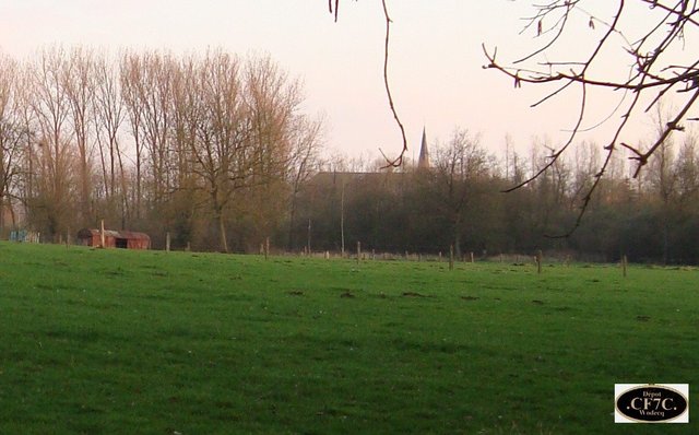 DSC01454.JPG