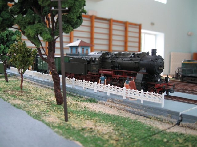 IMG_0586.jpg