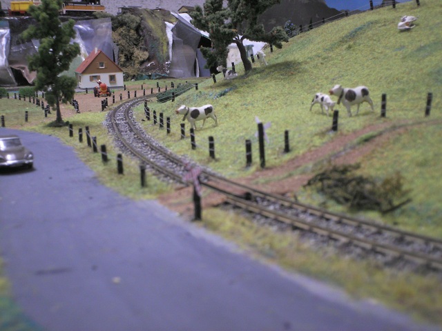 réseau1.jpg