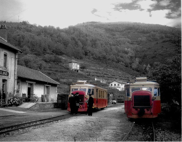 vivaraisAR11507.jpg