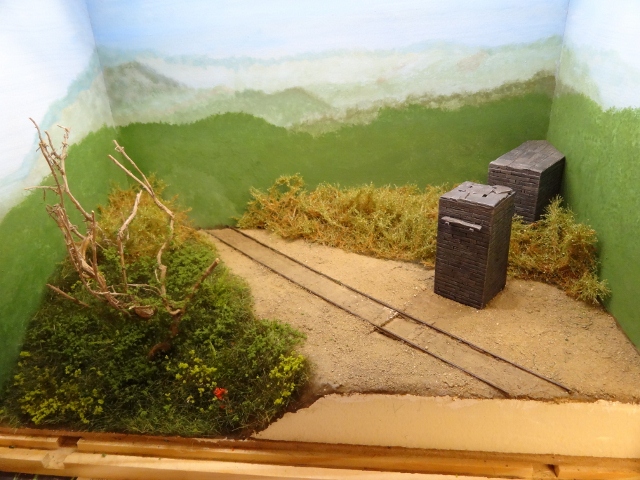 DSC00490 (640x480).jpg