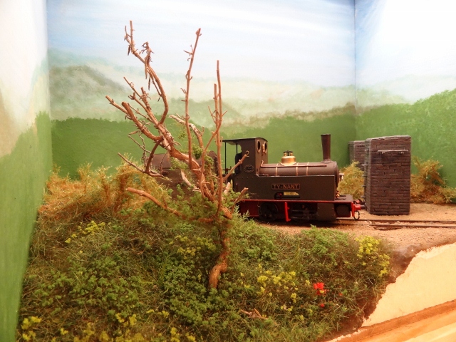 DSC00493 (640x480).jpg