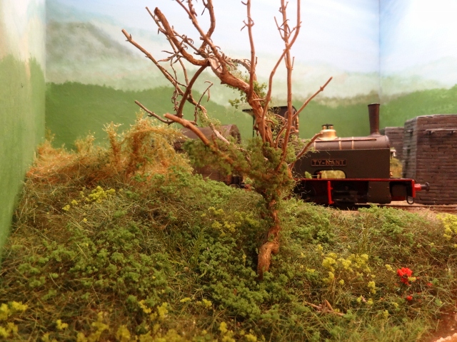 DSC00494 (640x480).jpg