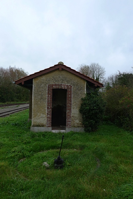 P1010556.jpg