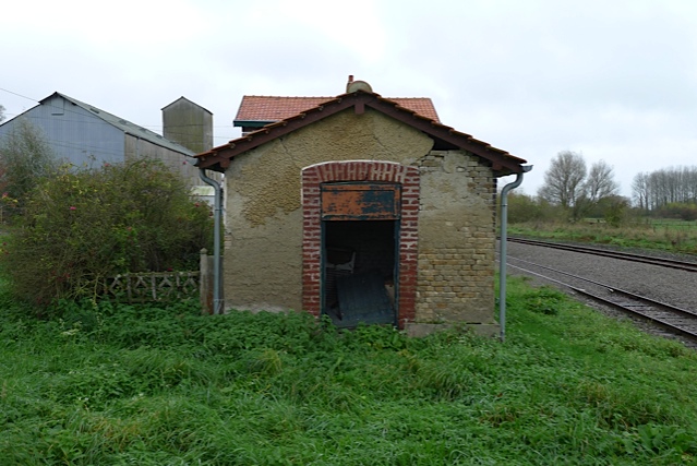 P1010558.jpg
