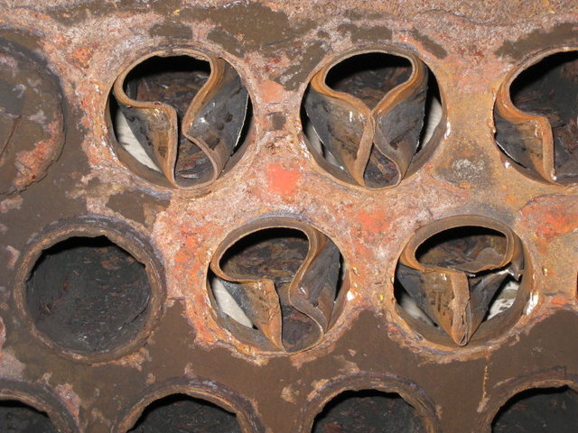 2012 04 04 DEBUT DETUBAGE SARTHE_001_1_1.JPG