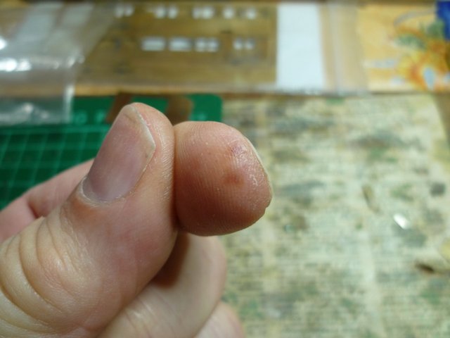 P1010356.JPG