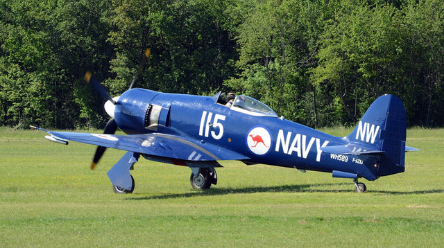 sea fury.JPG