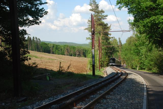 DSC_5718.jpg