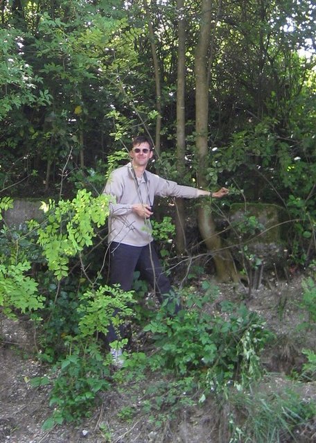 oiseau.jpg
