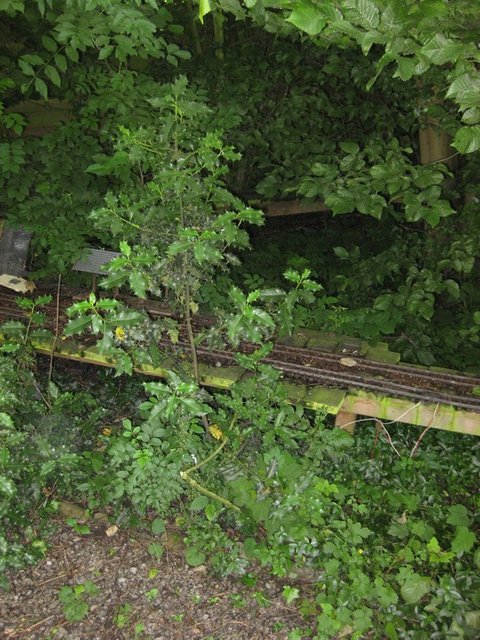 prr houx.jpg