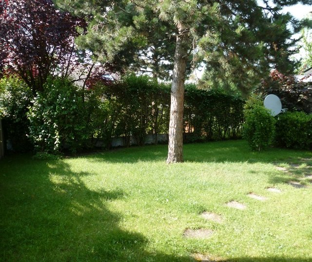 Jardin2.jpg