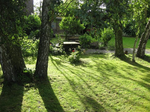 jardin 1.jpg