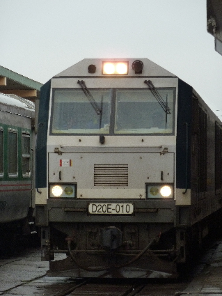 P1020231.JPG