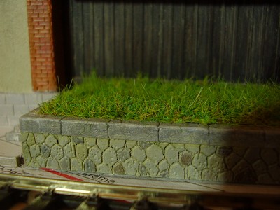 P1240135_2.jpg