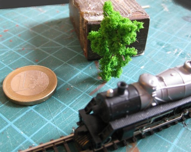 arbre.jpg