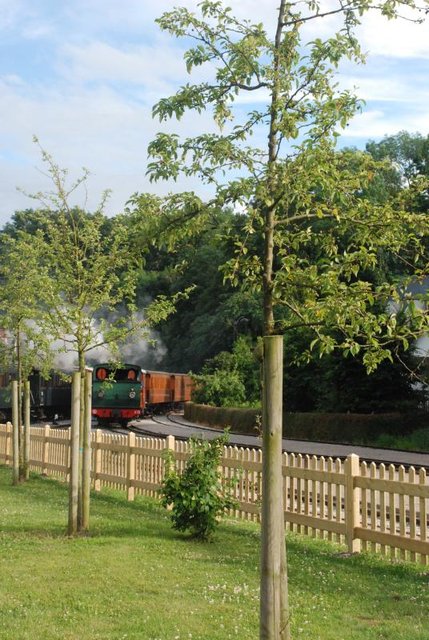 DSC_6206.jpg