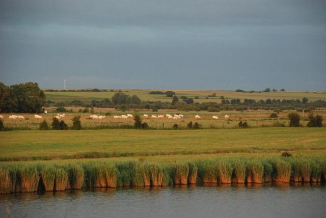 DSC_6260.jpg